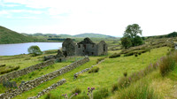 HRS 5557 Cwmystradllyn, derelict farmhouse 2008