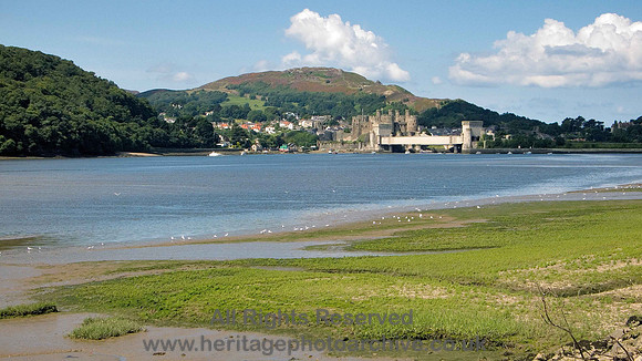 HRS 220 Conwy Castle and bridges from RSPB