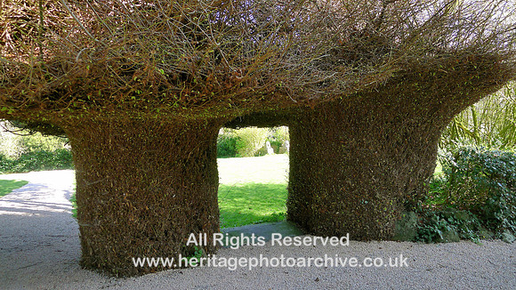HRS 9032 Morland, Vicarage garden tree arch L1150215