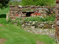 HRS 8989 Milburn, bee-hole on farm drystone wall L1150305