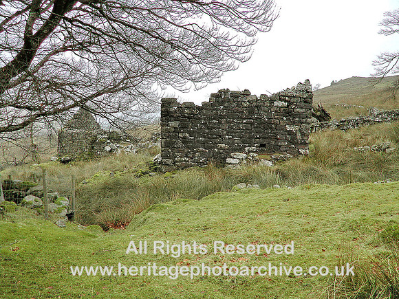 HRS 5125 Cynefail  nr Llyn Celyn 2010