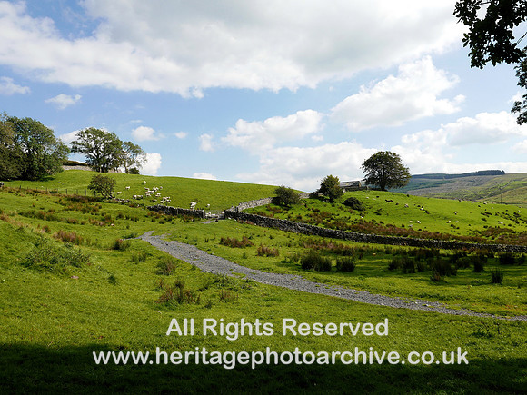 HRS 10688 Garsdale, Low Fawes 2020 L7750643