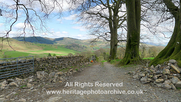 HRS 7928 Bannisdale, old track and dry stone wall