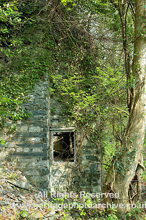 HRS 5532 Dr Johnson's cottage, Denbigh 2005