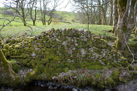 HRS 8914 Cautley, Fell End, Contoured dry stone wall DSC_0106