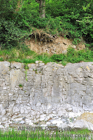 HRS 7052 Bardsea, Sea Wood, Urswick limestone overlain by glacial till