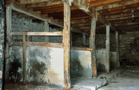 Stephenson Ground Cow byre June 2003
