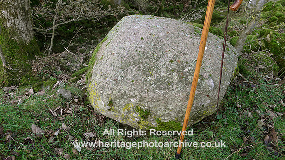 HRS 9876 Great Asby Gill, erratic granite boulder L1180783