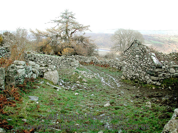 HRS 1214 Llanbedr-y-cennin, Onen Ebryd