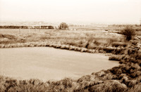Coalmining Heritage