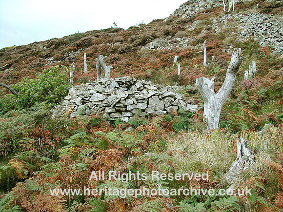 HRS 1096 Tre'r Ceiri hillfort, Llanaelhaearn 2003