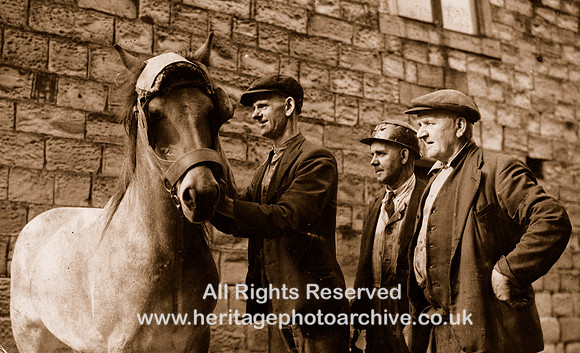 HRS 1463 Ladyshore pit pony 1950