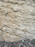 HRS 7589 Halkyn, Pant Quarry chert