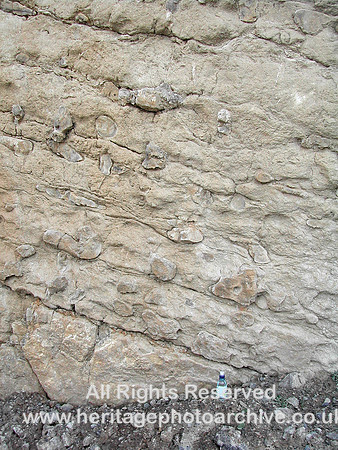 HRS 7589 Halkyn, Pant Quarry chert
