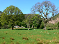 HRS 6404 Vyrnwy 2007