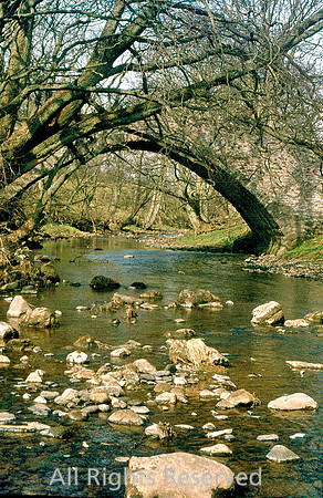 Slaidburn, Bridge over Hodder near Slaidburn