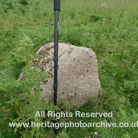 HRS 9507 Great Asby, thunder stone shap granite glacial erratic L1170805