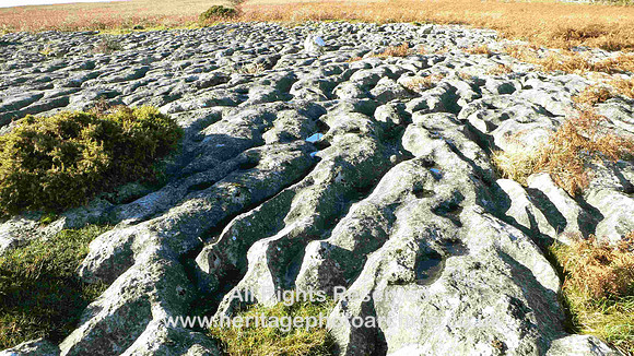 HRS 687 Limestone pavement, Birkrigg Common