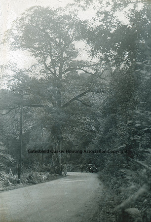 Two figures and vehicle in wooded road_054