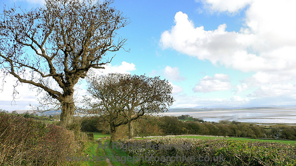 HRS 4981 Bardsea, Lane above Wellhouse farm