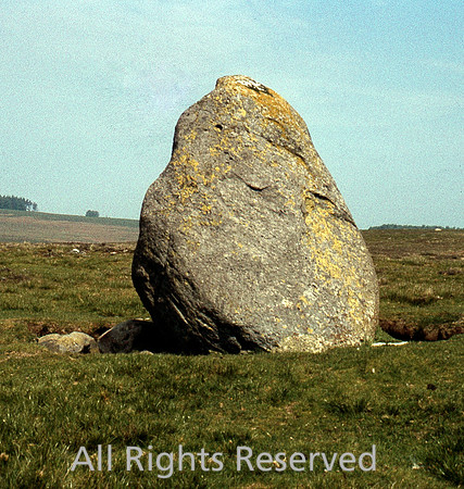 Cop Stone - on Moor Divock