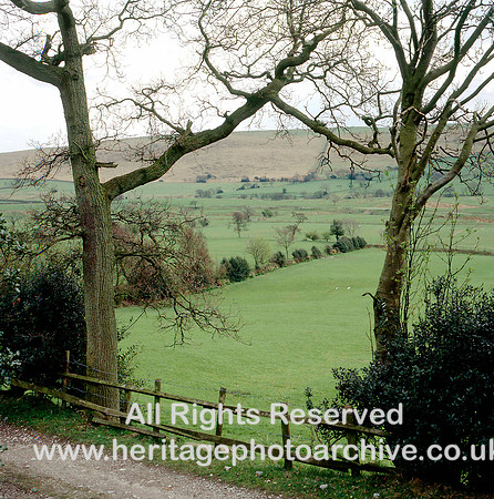 HRS 1594 Sabden, Pendle, tree arch