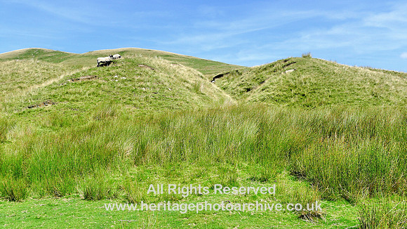HRS 7545 Cautley Valley,  lower end NE sheep on moraines