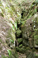 HRS 1736 Whitbarrow, Fairies cave  2011