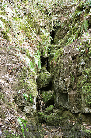 HRS 1736 Whitbarrow, Fairies cave  2011