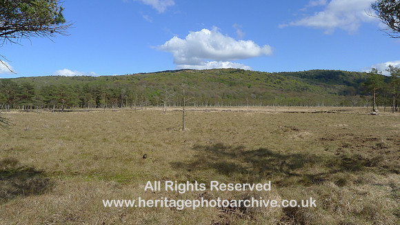 HRS 2260 Bouth, Haybridge Nature Reserve, Main Marsh