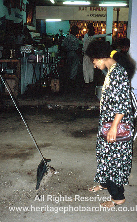 HRS 933 India, Calcutta, punishing a bird 1995