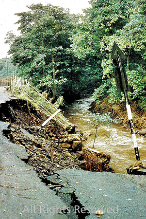 Barley, flood damage 1967