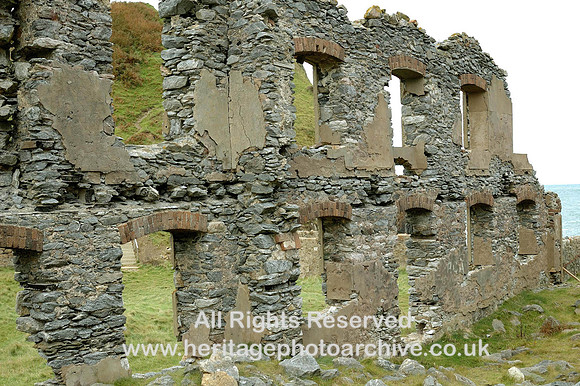 HRS 886 Llanlleiana 'Porcelain' works