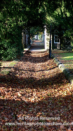 HRS 1758 Kendal, autumn leaves 2010
