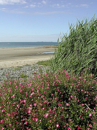 HRS 369 Church Bay looking towards The Skerries 2003