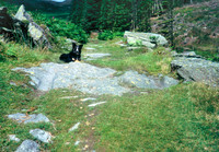 Stephenson Ground area, Cart and sledge marks Sep 2007