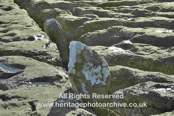 HRS 686 Glacial erratic embedded in Birkrigg pavement