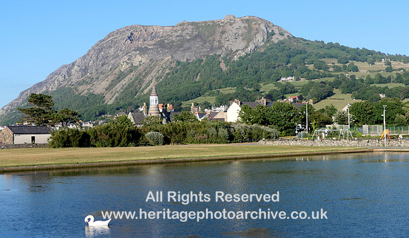 HRS 11071 Llanfairfechan, swan and mountain 2022