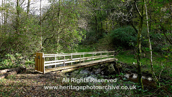 HRS 9849 Barbondale, footbridge L1180687