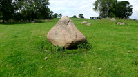 HRS 9893 Crosby Ravensworth, Shap granite erratics L1110533