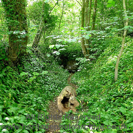 HRS 7056 Bardsea, Sea Wood lower, Possible spring  source