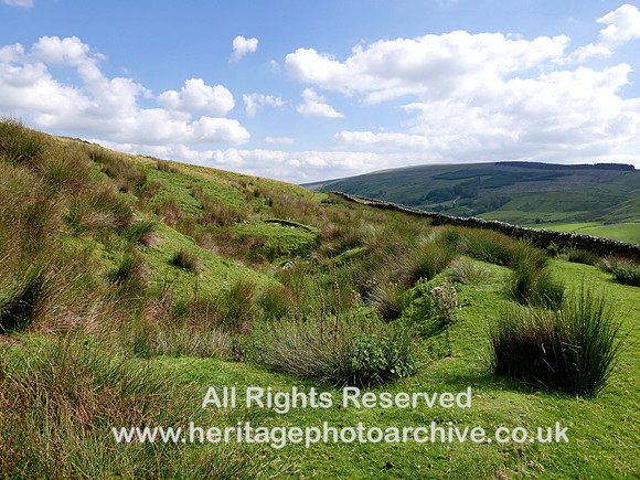 HRS 10684 Garsdale, Faw Moor, shake holes or dolines in limestone 2020 L7750636