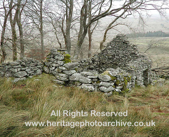 HRS 5126 Cynefail  area nr Llyn Celyn 2010