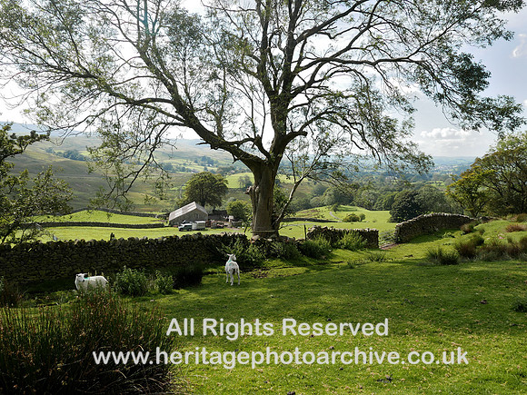 HRS 10697 Garsdale, Low Fawes 2020 L7750635