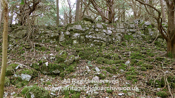 HRS 7733 Limestone quarry outcrop S end Roudsea wood