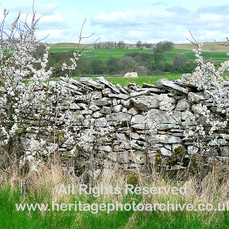 HRS 8270 Newbiggin-on-Lune, Springtime