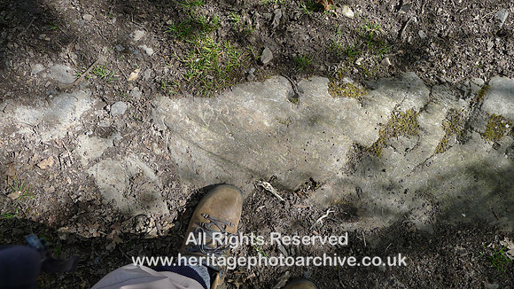 HRS 2256 Bouth, Haybridge Nature Reserve, Glacial striae