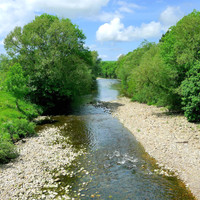 HRS 8007 River Wenning at Hornby