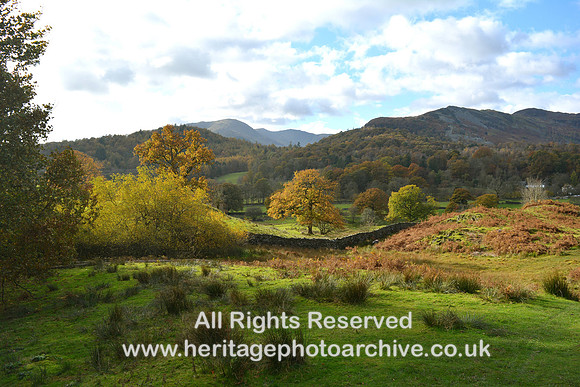 HRS 7742 Elterwater autumn tree