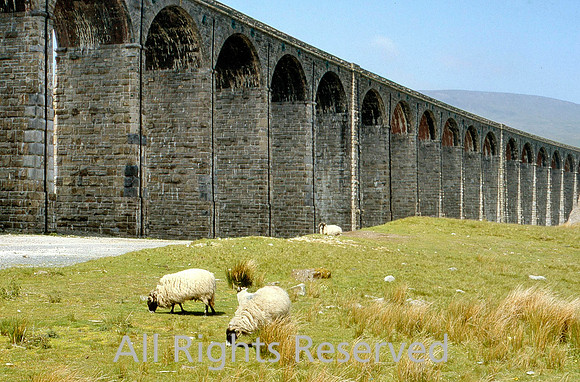 Ribblehead viaduct